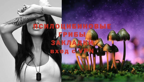 молекула духа Алзамай